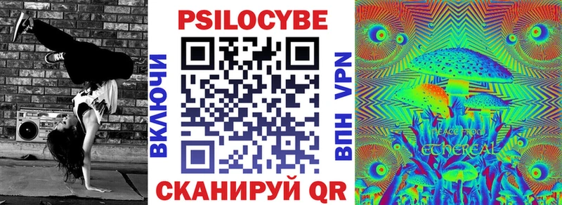 Купить где  Лесосибирск  Псилоцибиновые грибы Cubensis 